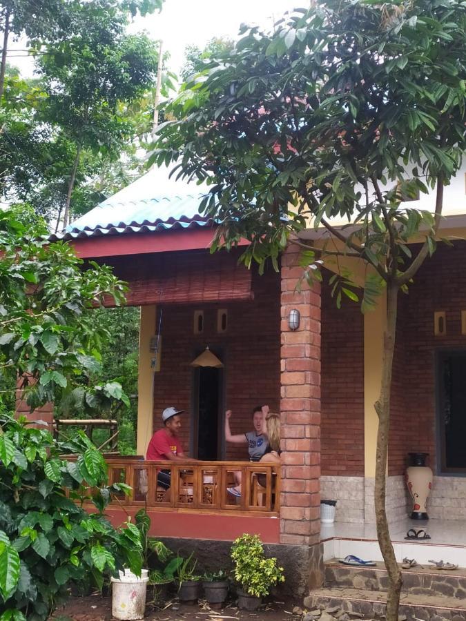 Kopikuin Bromo Homestay Probolinggo Exterior photo